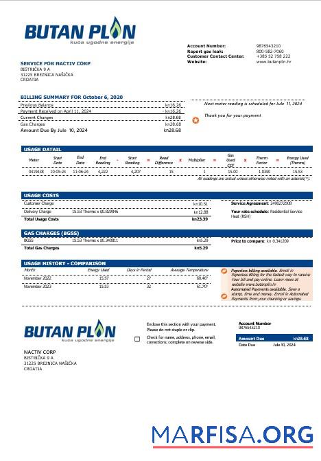 Downloadable Croatia BUTAN PLIN doo gas business utility bill template in word and pfd formats